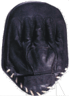 Click To Enlarge