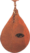 Click To Enlarge